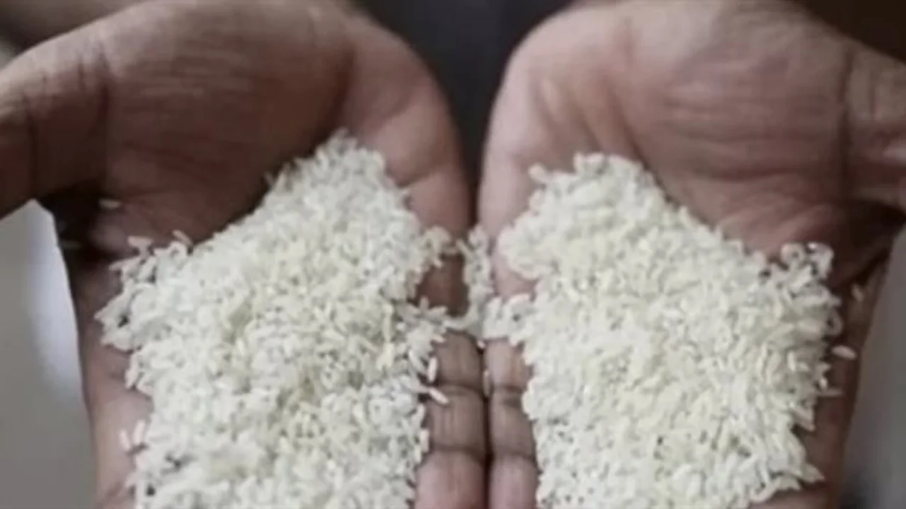 أسعار الأرز الشعير في الأسواق المصرية تتراجع وتستقر اليوم 26 نوفمبر 2025